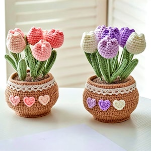 May include: Two crocheted flower pots with a lace trim and hearts. One pot has pink and white flowers and the other has purple and white flowers.