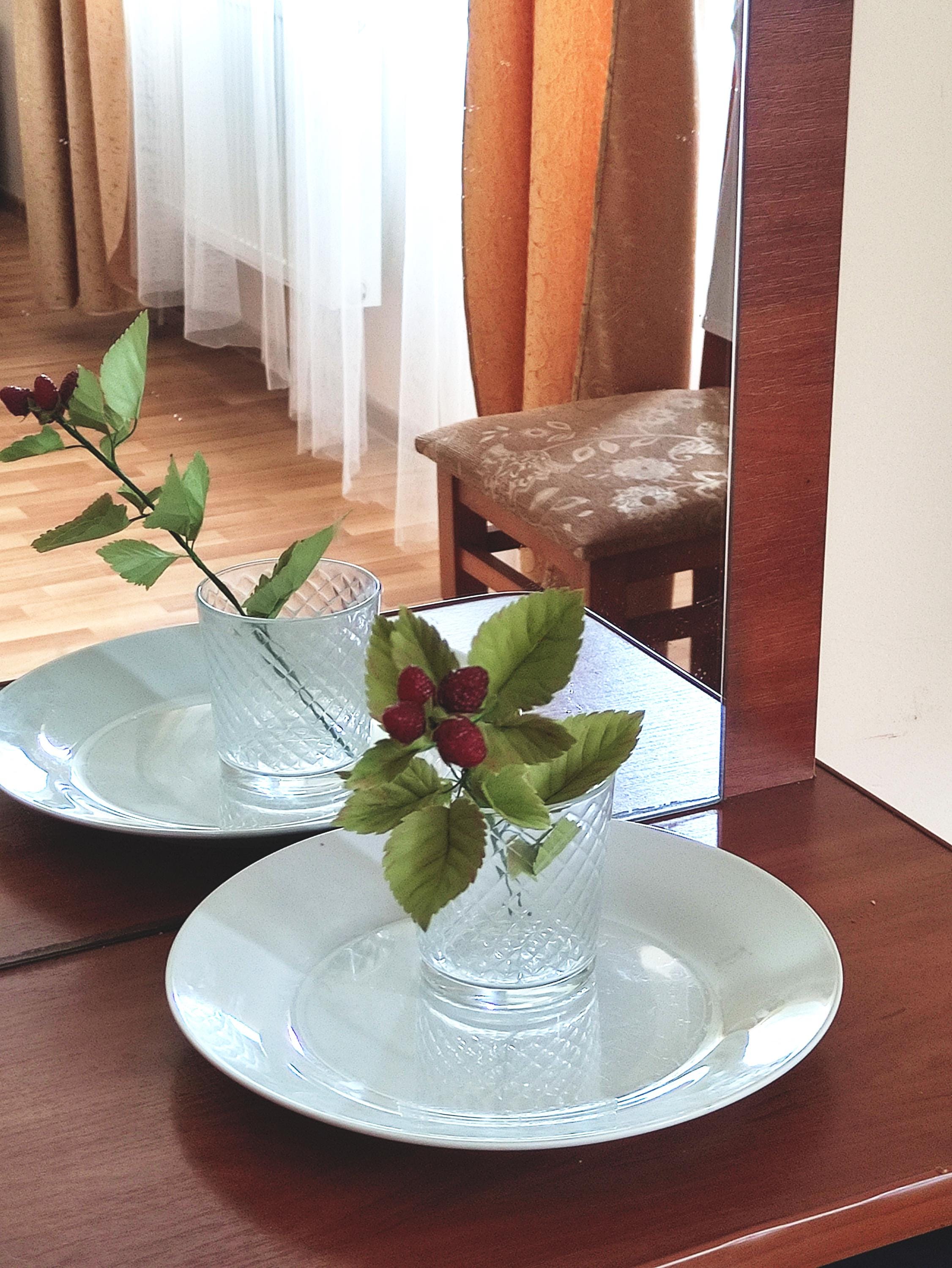 9pezzi Rami Di Lampone Finti Con Steli Realistici Per Decorazioni Di