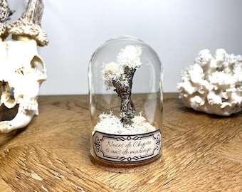Cadeau noces de chypre, étiquette personnalisable,  6 ans de mariage, idée cadeau