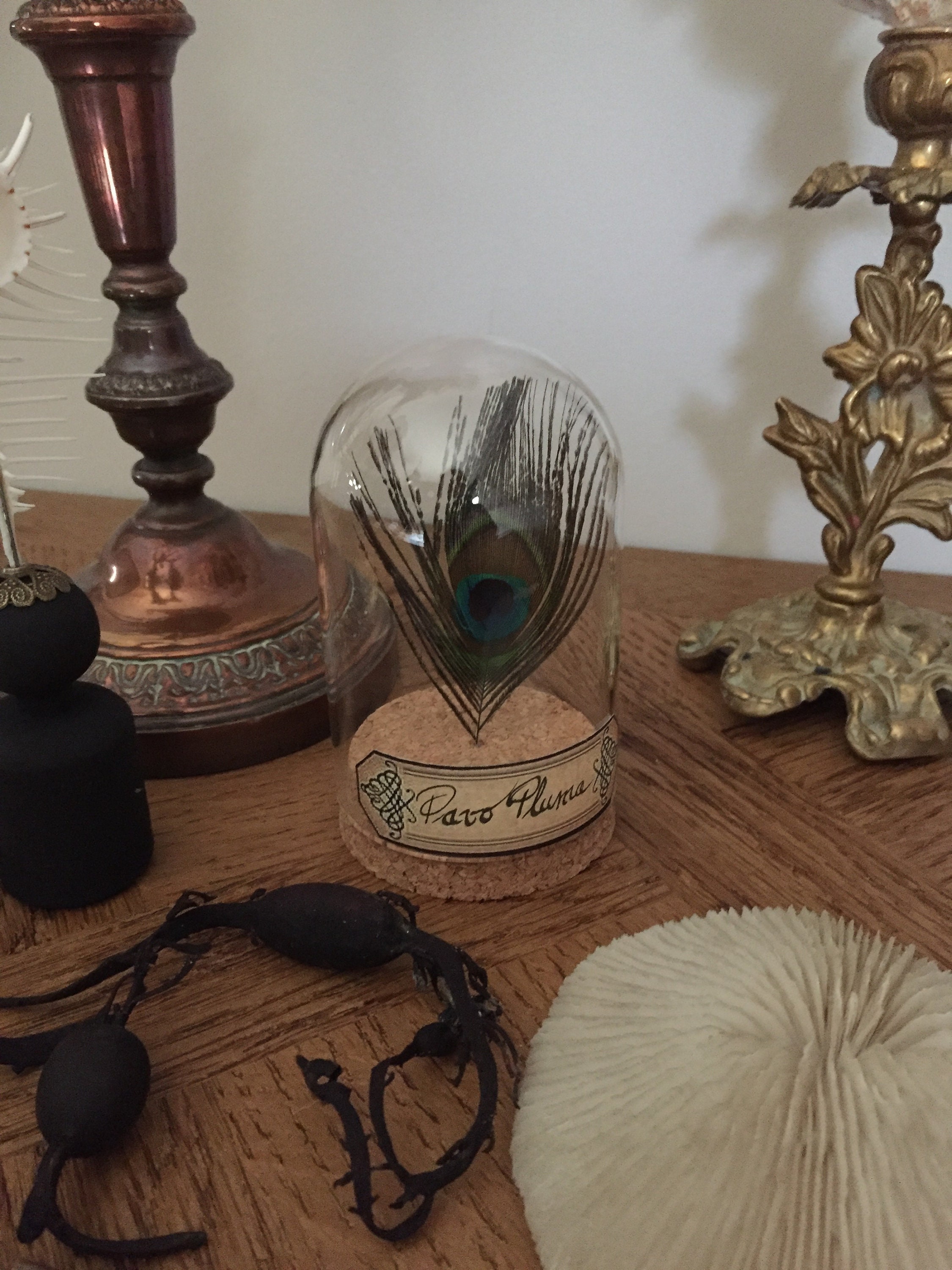 Globe, Curiosité , Plume de Paon