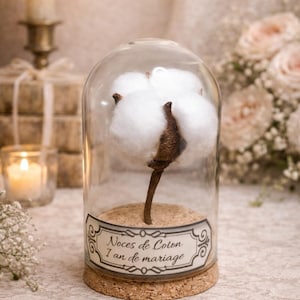 Cadeau voor het 1e huwelijksjubileum - Katoenen jubileum - Gepersonaliseerde wereldbol onder een glazen koepel - Romantisch cadeau voor een stel