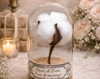 cadeau anniversaire de mariage 1 an  - Noces de coton - globe sous cloche personnalisé - cadeau couple romantique