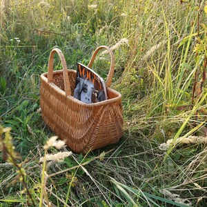 May include: A brown wicker basket with a magazine titled "Vogue" inside, sitting in a field of tall green grass.
