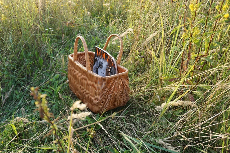 May include: A brown wicker basket with a magazine titled "Vogue" inside, sitting in a field of tall green grass.