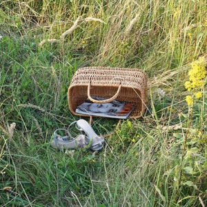 May include: A wicker basket with a magazine inside, sitting in a field of tall green grass with yellow wildflowers. Two gray sandals are lying on the ground next to the basket.