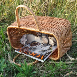 May include: A wicker basket with a brown handle, filled with a magazine, sunglasses, and sandals. The basket is sitting on a bed of green grass.