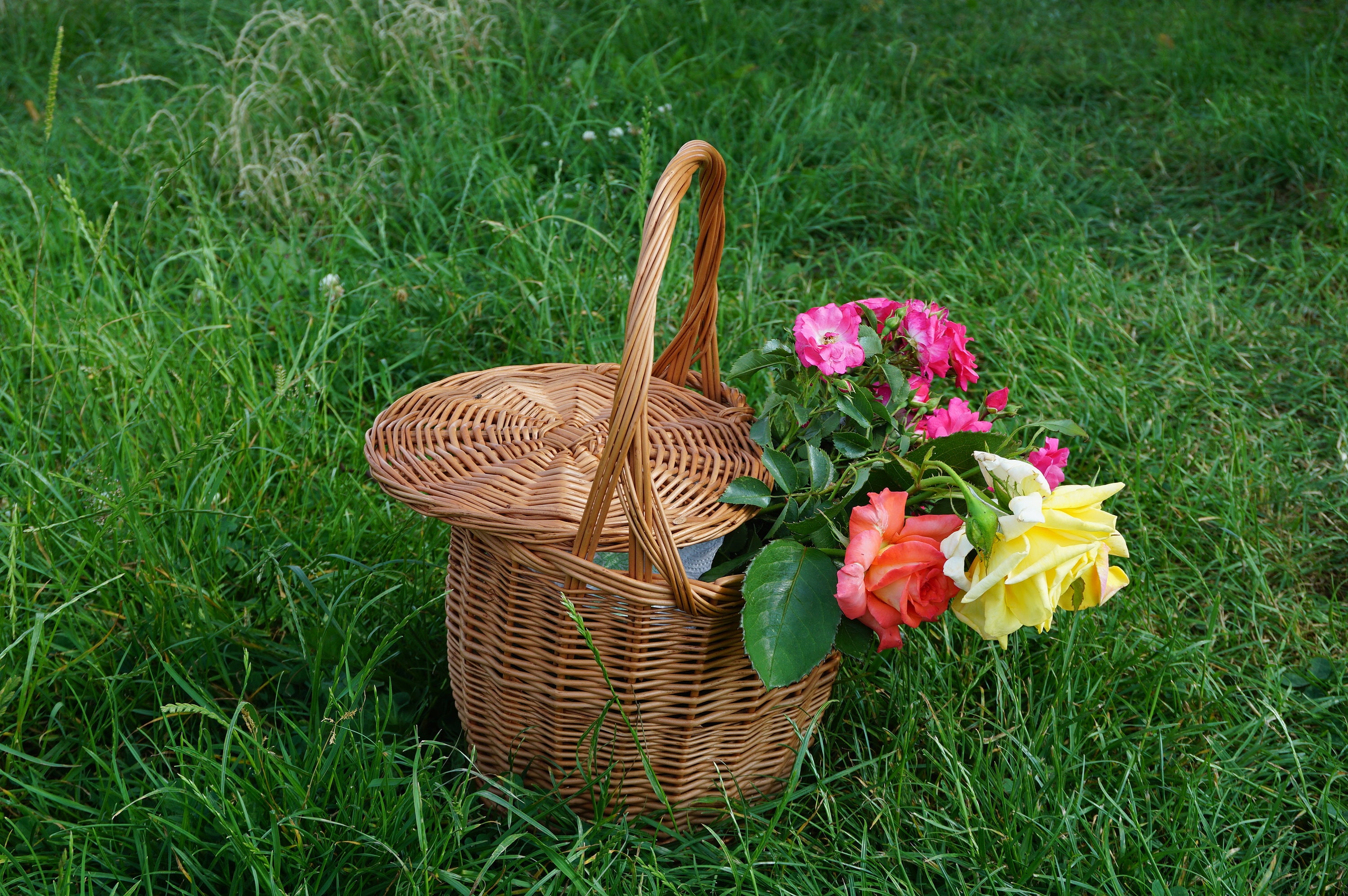 Birkin Style Bag Jane Birkin Basket Bag Picnic Basket With Etsy