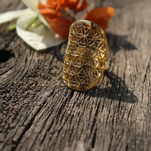 Pode incluir: Um anel dourado com um design geométrico, que se assemelha a um padrão de flor da vida. O anel está sobre uma superfície de madeira.