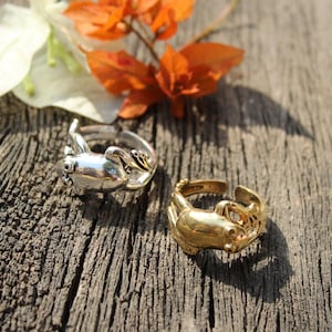 Könnte beinhalten: Zwei silberne Ringe in Form eines Frosches, einer mit goldener Oberfläche, auf einer Holzoberfläche.