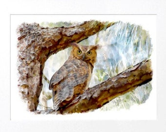 Original Watercolor Painting, Great Horned Owl Art, Wildlife Art, Rapture, Bird on a Branch, Bird Painting, Watercolor Owl, Birds of Prey