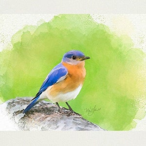 Original Watercolor Painting, Eastern Bluebird, Art Print, Bird Painting, Wildlife Art, Wall Decor, Original Artwork, Blue Bird Watercolor