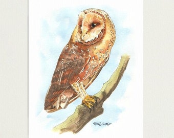 Barn Owl Watercolor Painting – Original Wildlife Bird Art – Blue Background – Raptor Wall Decor – Nature-Inspired Home Gift