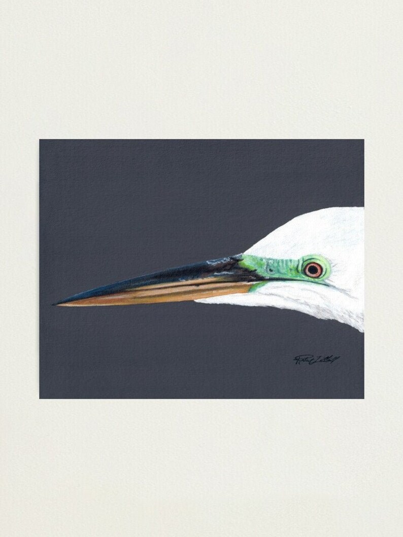 Great Egret Painting, ORIGINAL Acrylic Painting, Canvas Board, White Bird, Beach Art, Prints, Wading Bird, Bird Art, Beach Bird, Wildlife image 1