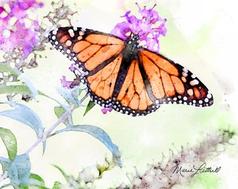 Butterfly Watercolor, Monarch Butterfly Painting, Garden Decor, Original Art, Garden Flower Painting, Wildlife Print, Giclée Print