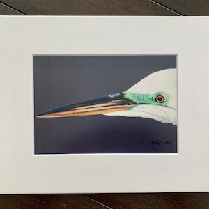 May include: Close-up of a white egret's head and beak, with a green eye and a dark blue background.