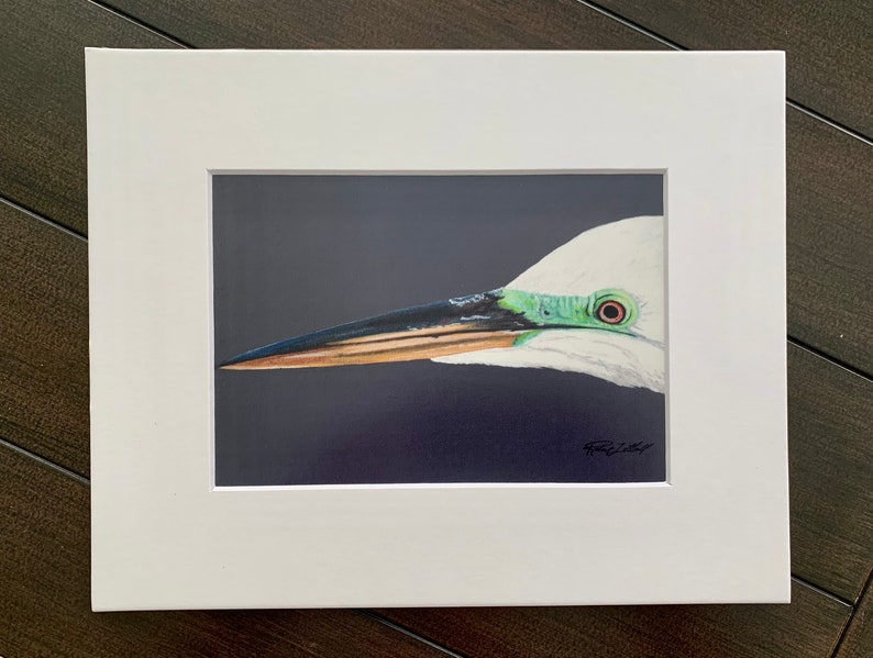 May include: Close-up of a white egret's head and beak, with a green eye and a dark blue background.