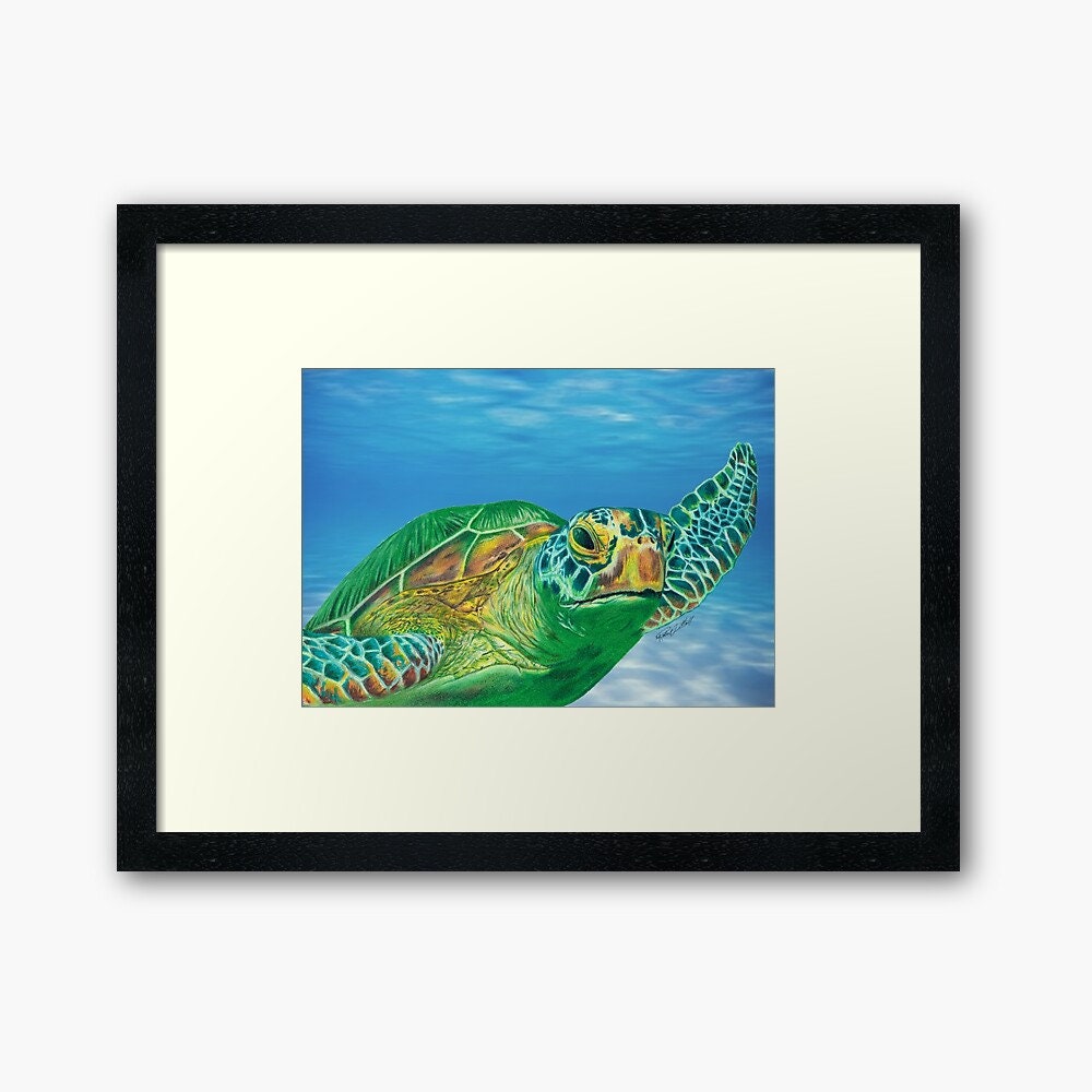 Green Sea Turtle Colored Pencil Drawing Ocean Blue - Etsy