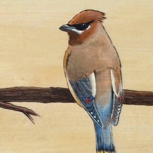 May include: A detailed painting of a bird perched on a branch. The bird has brown, blue, and yellow feathers, with a distinctive crest. The background is a light beige color, and the branch is brown.