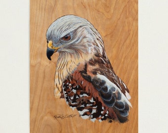 Hawk Painting Wood Burning, Red-Shouldered Hawk Painted on Wood, Painted Pyrography, Wildlife Art, Birds of Prey, Bird Art, Original Art