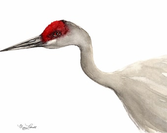 Sandhill Crane Watercolor Print • Wildlife Bird Art • Nature Wall Decor
