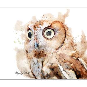 Screech Owl Watercolor Painting – Original Wildlife Art, Bird Wall Decor, Nature Lover Gift