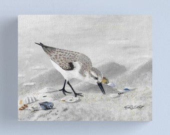 Original Acrylic Painting, Snowy Plover, Beach Art, Acrylic Canvas Painting, Shore Bird, Wading Bird, Sand, Seashells, Bird Art, Ocean Decor