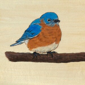 May include: A detailed illustration of a bluebird perched on a brown branch. The bird has a blue head and wings, a rust-colored chest, and a white belly. The background is a light beige color.