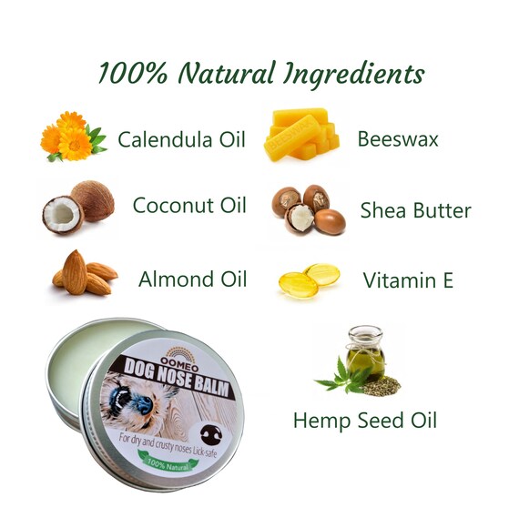 Is Coconut Oil Safe For Dogs Nose