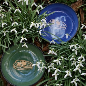 Puede incluir: Dos platos de cerámica con un esmalte verde y azul. Los platos tienen un diseño dorado de un dinosaurio estilizado. Los platos están rodeados de flores blancas de campanilla de invierno.