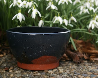 Forest night sky bowl