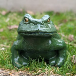 Basic Frogs