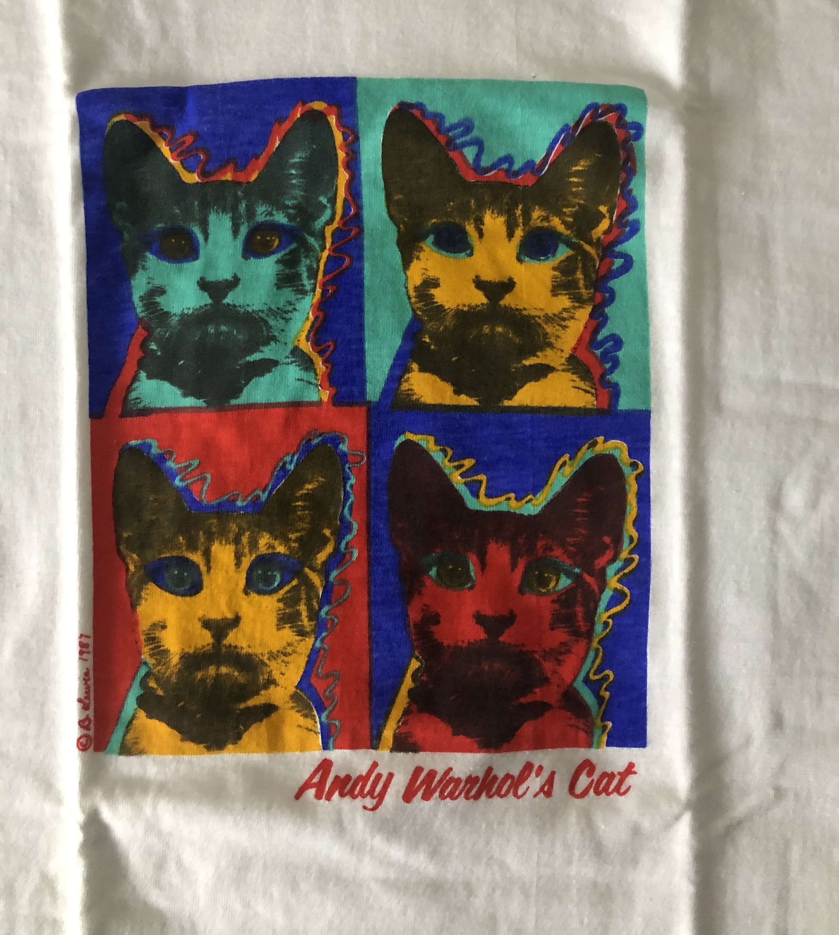 Andy Warhol's Cat T-shirt Never Warn Large - Etsy