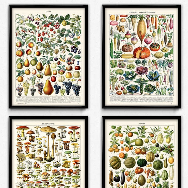 Kitchen Vintage Prints Set of 4 (1) - Instant Download - Fruit Vegetable Mushroom Poster - Fruit Vegetable Art - Larousse (PD1033)