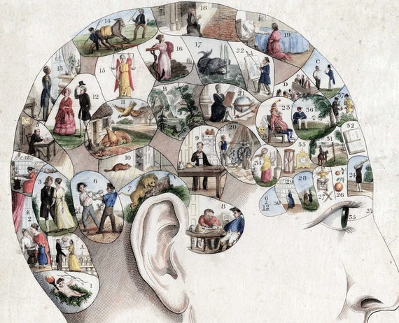 Vintage Science Poster Phrenology A4//A3 Poster