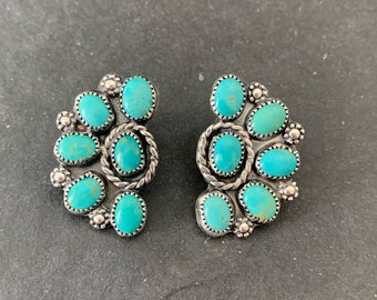 Campitos Turquoise Half Cluster Stud Earrings