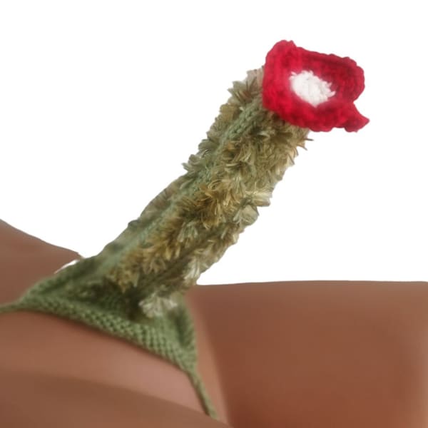 Men Cactus With Flower Knit Crochet Novelty WillyWarmer Thong Fun Gift