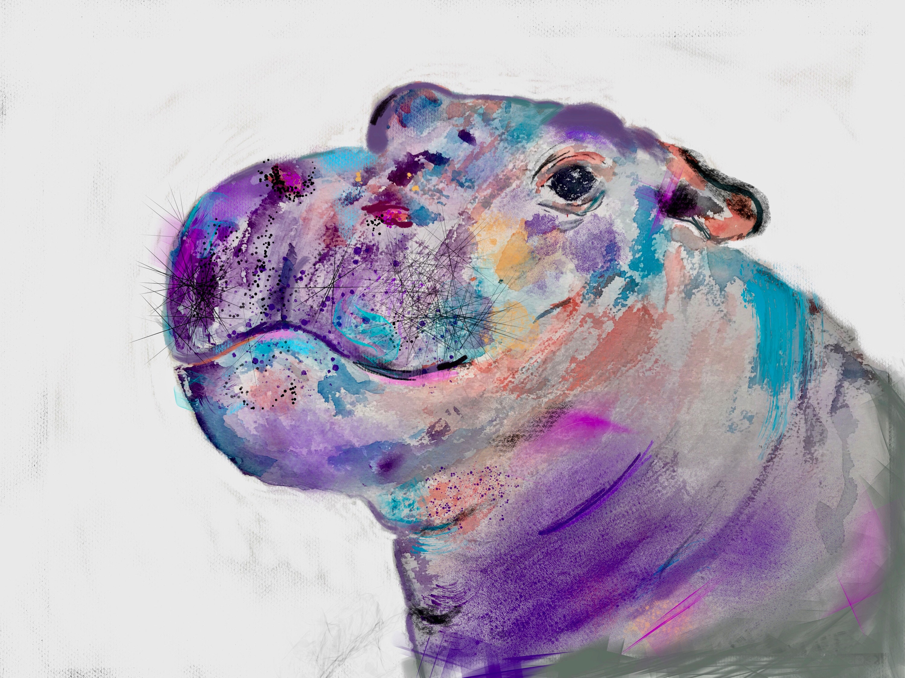 Fiona Watercolor Hippo Purple Painting Giclee Fine Art Etsy