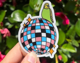 trans pride flag disco parakeet waterproof vinyl sticker