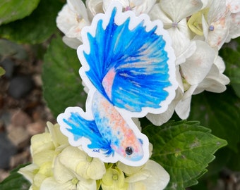 betta fish waterproof vinyl sticker