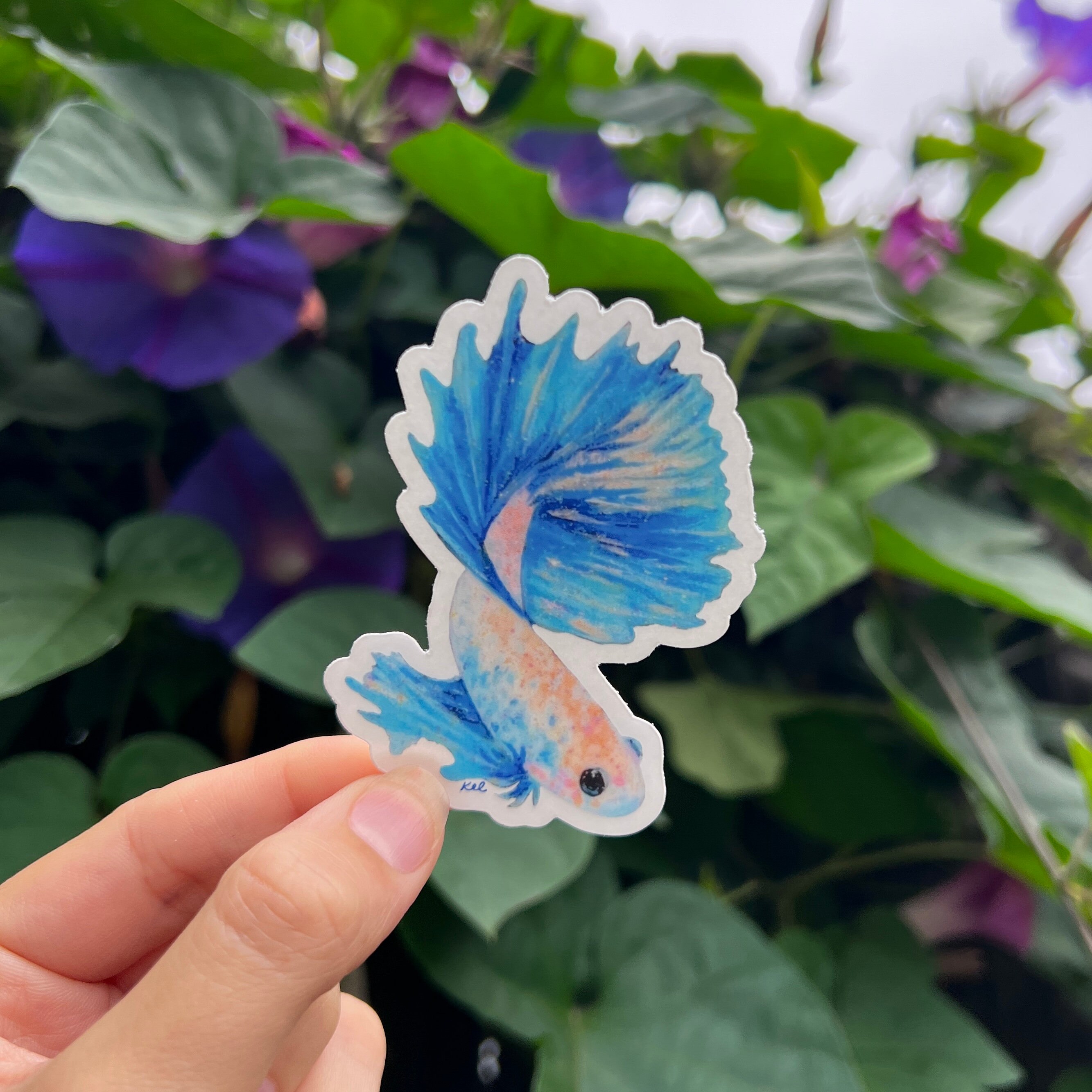 Betta Fish Waterproof Vinyl Sticker - Etsy