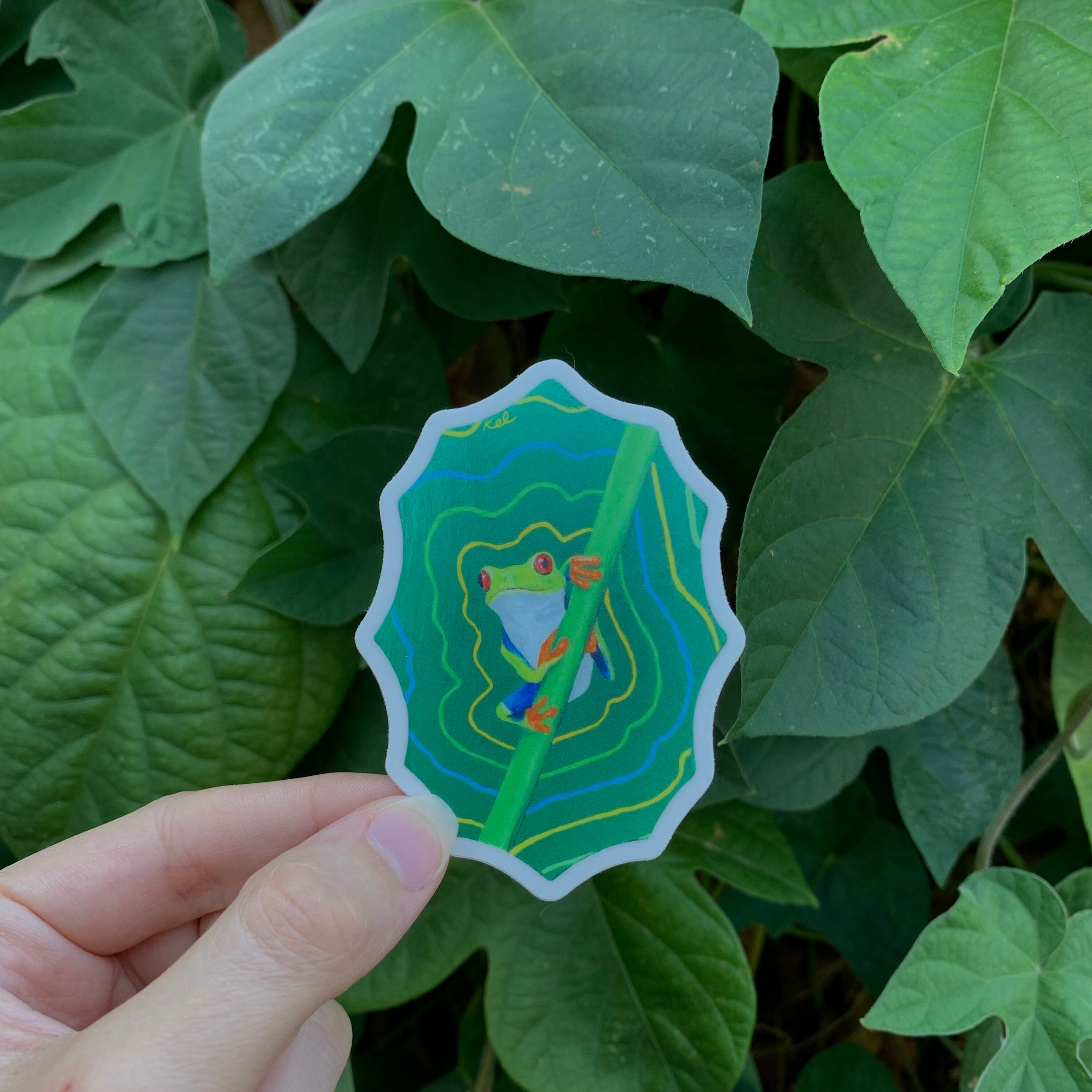Funky Tree Frog Waterproof Vinyl Sticker - Etsy