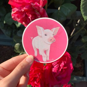Hot Pink Cute Pig Circle Waterproof Vinyl Sticker