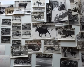 bullfight photographs lot vintage 1960&#39;s press photograh , Spanish Bullfight , matador , bullring ,