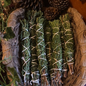 Cedar smoke cleansing bundle, cedar incense, incense, witchcraft, spiritual cleansing, pagan gift, witch gift, birthday gift