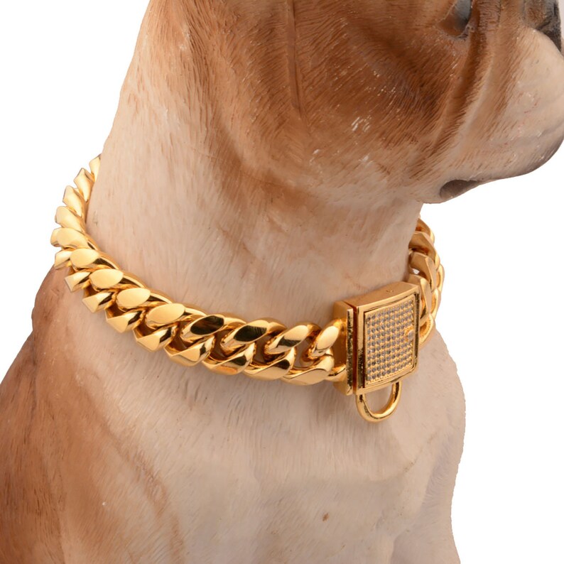 American Bully Stainless Steel Chain Gold Collar Pet Etsy