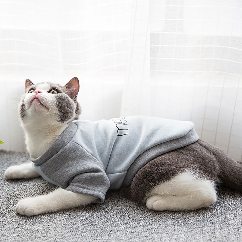 Cat Clothing Discount Code at Carley Beason blog