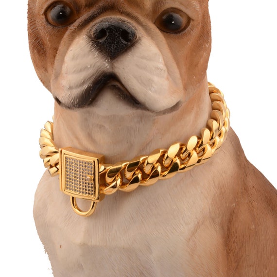gold collar and leash