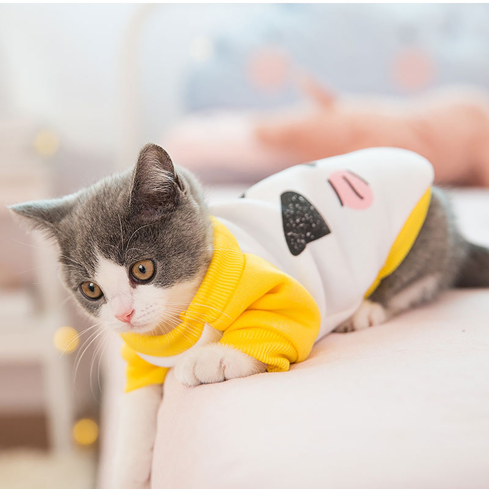 1 Pc Cute Cat Clothing Cat Boutique Clothing Small and Etsy