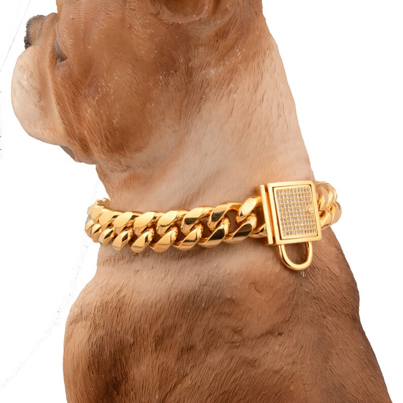American Bully collare d'oro catena in acciaio inox Etsy