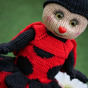 Peut inclure: Une poupée en tricot en forme de coccinelle avec des accents noirs et rouges, portant un chapeau noir et une jupe en tulle rouge.